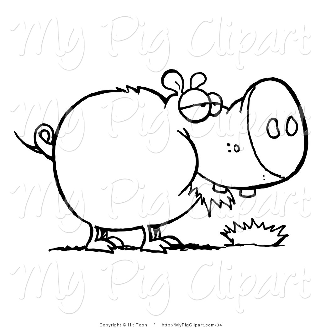 Larger Preview  Swine Clipart Of A Coloring Page Outline Of A Fat Pig