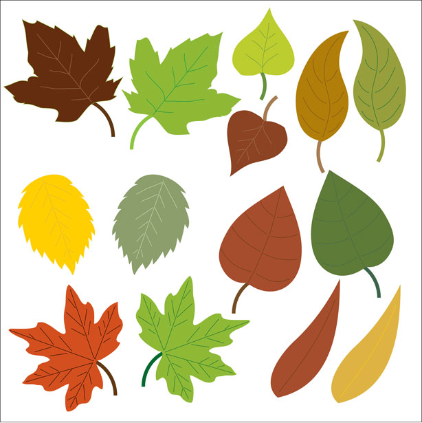 Leaves Clipart Free Stock Photo   Public Domain Pictures