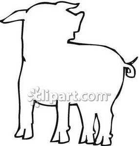 Pig Outline   Royalty Free Clipart Picture