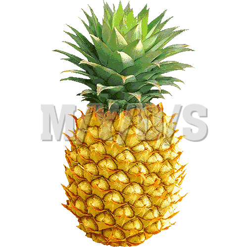 Pineapple Clipart   Clipart Panda   Free Clipart Images