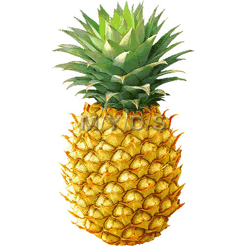 Pineapple Clipart   Free Clip Art