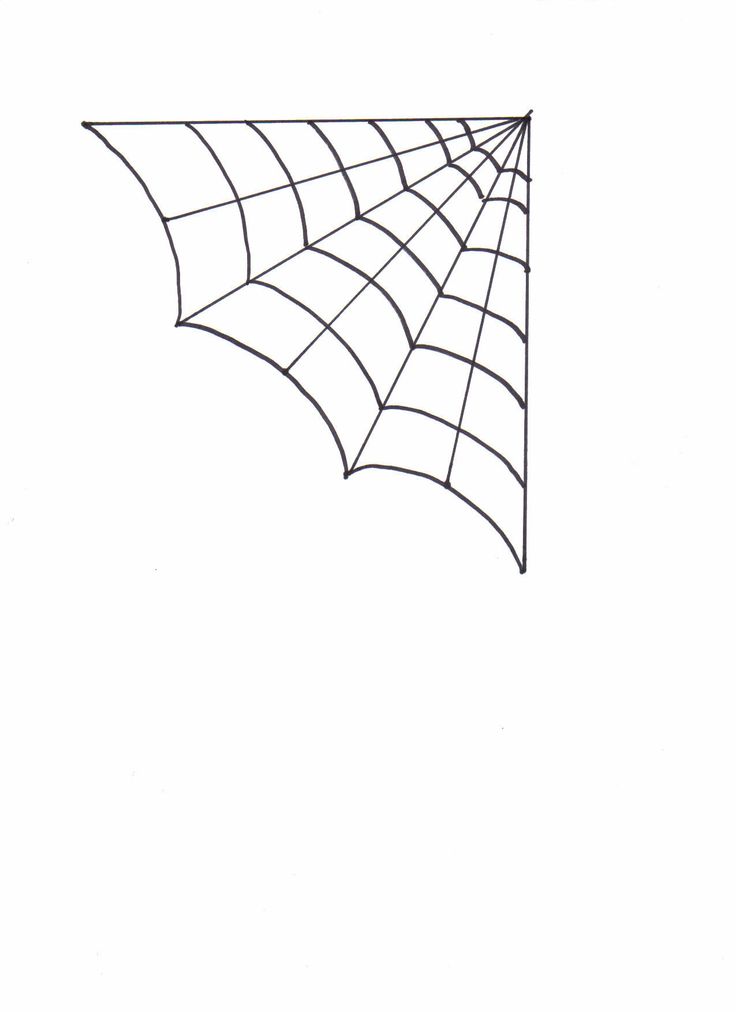 Spider Web   Clip Art   Pinterest