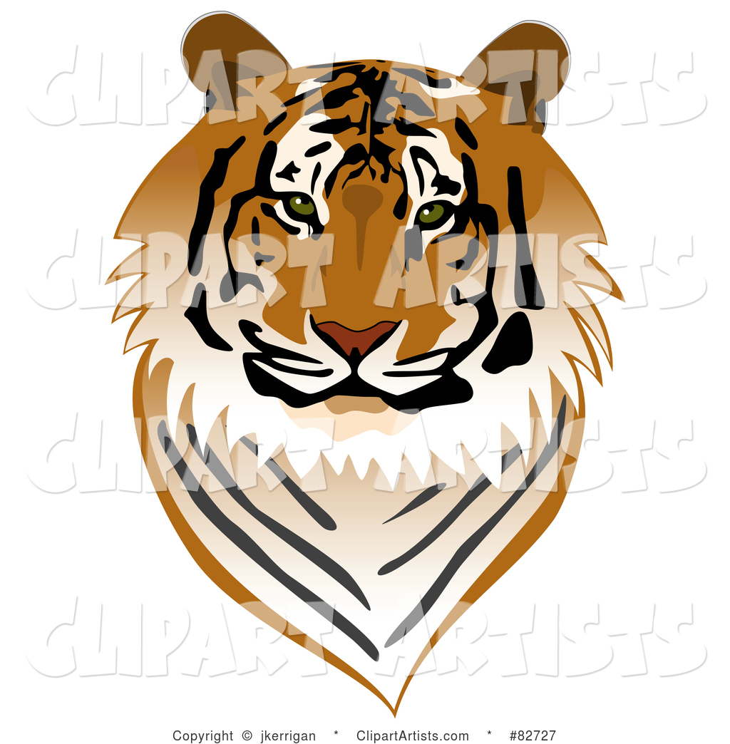 Tiger Face Vector 82717 Black And White Sketched Basset Hound Face