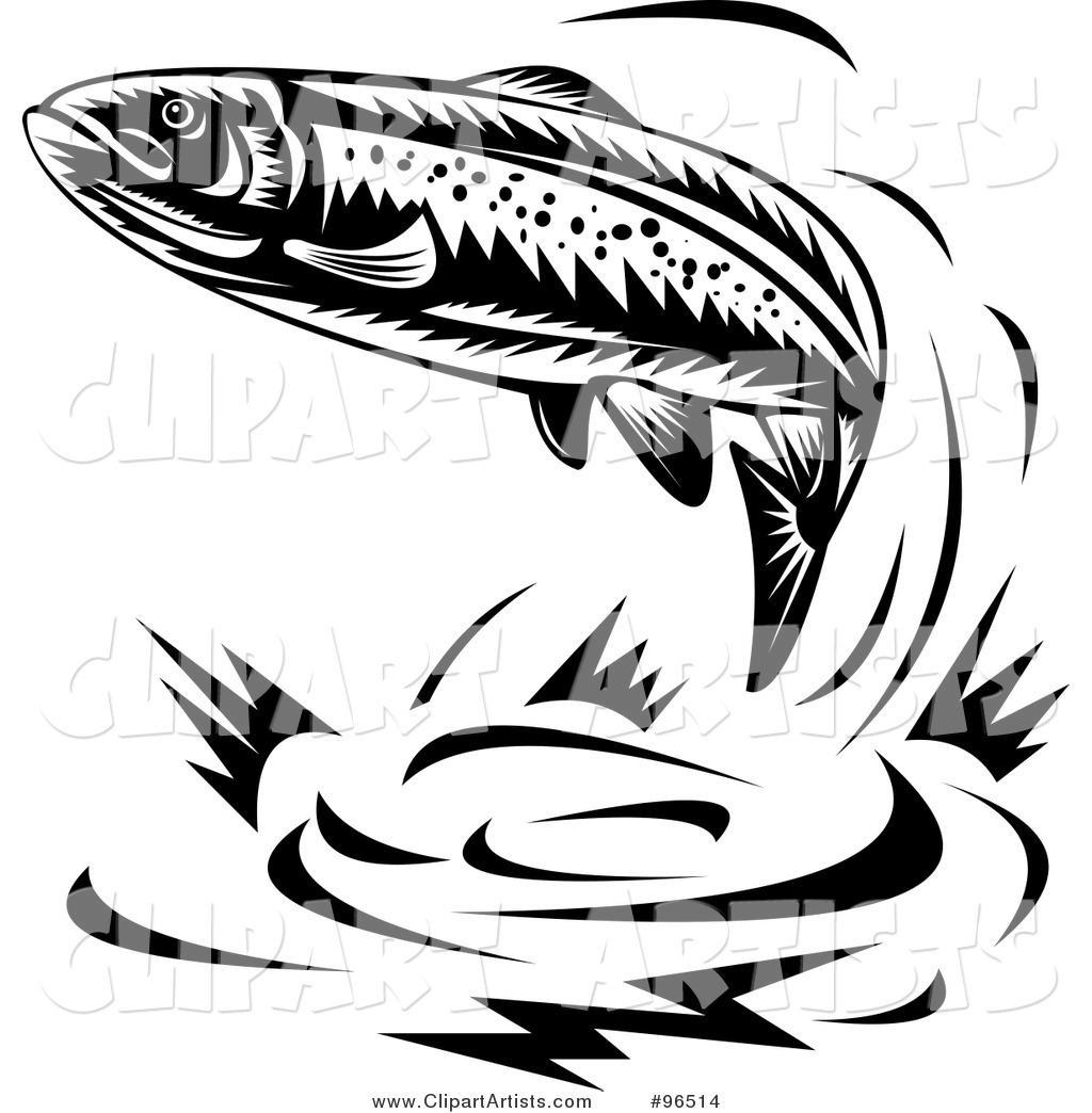 Trout Fish Clip Art Black And White