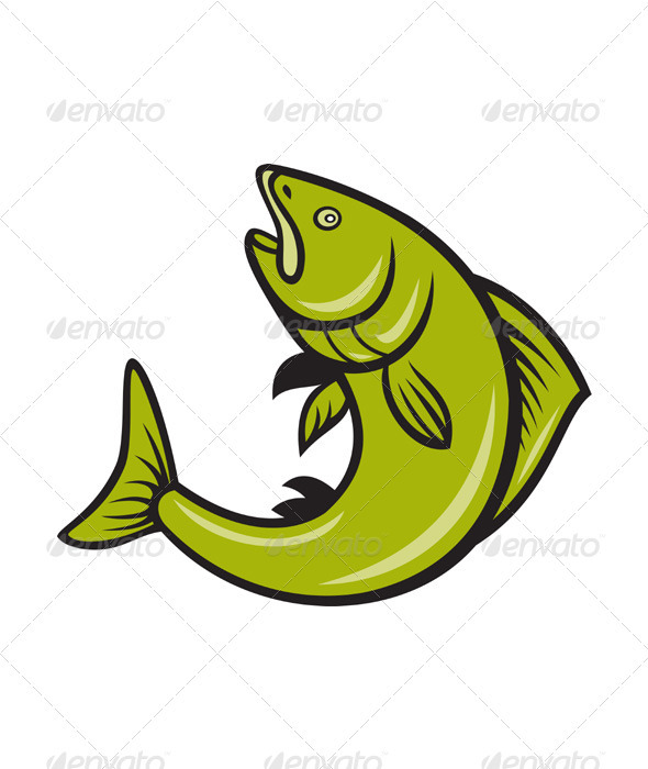 Trout Fish Jumping Cartoon   Animals Characters