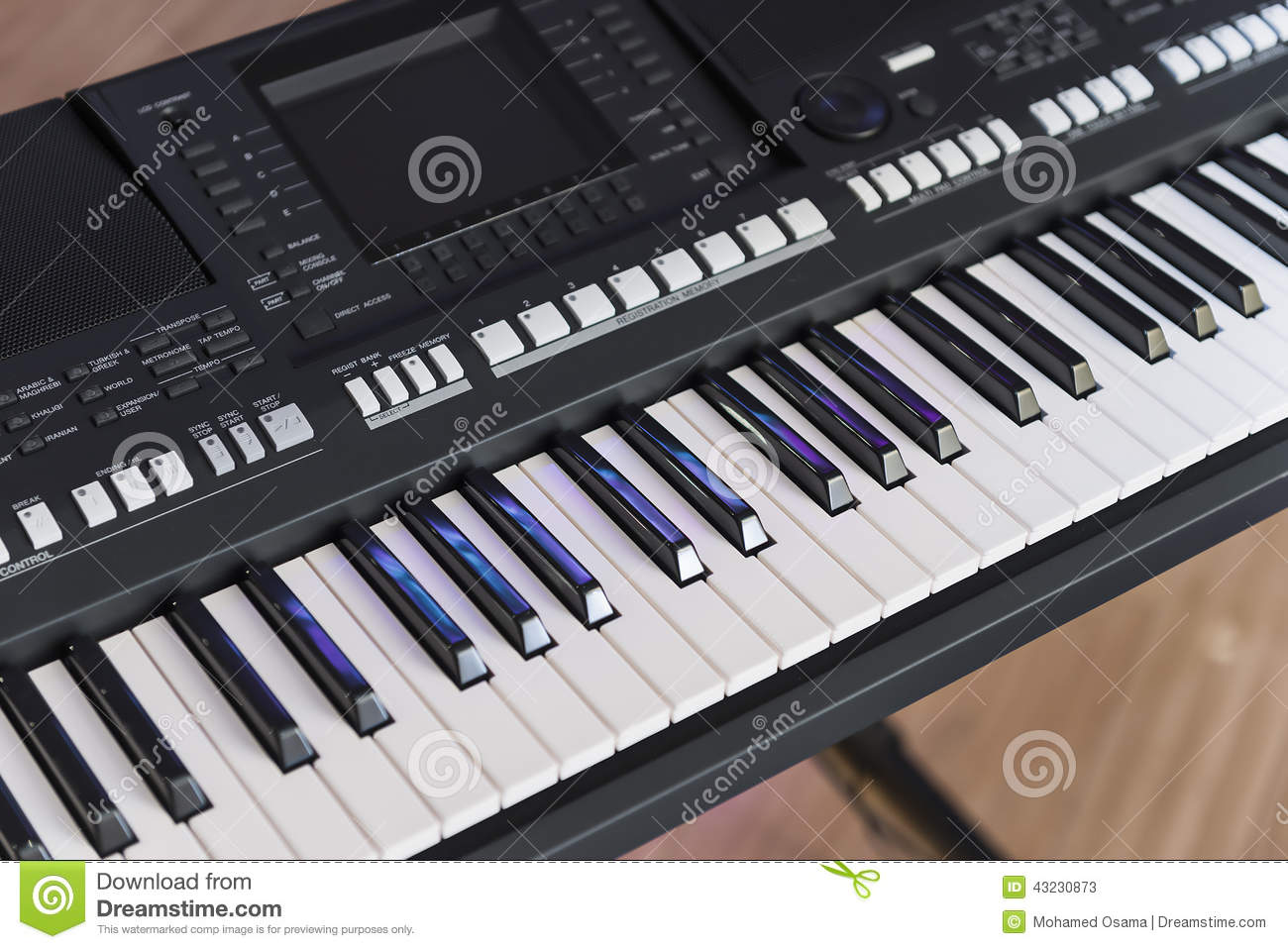 Digital Musical Instrument   Electronic Piano Keyboard
