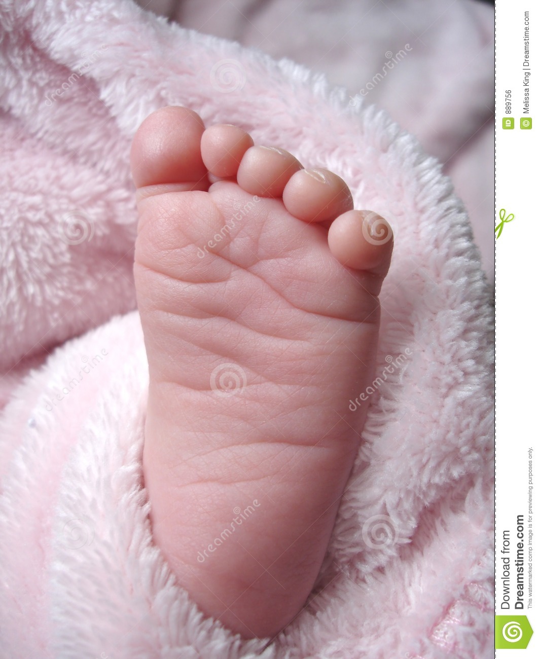 Little Foot Royalty Free Stock Image   Image  889756