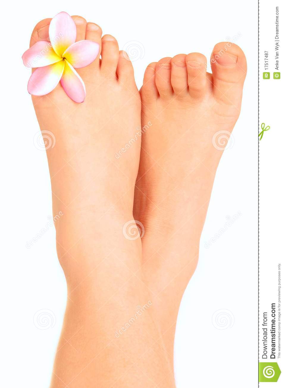 Two Little Crossed Feet Of A Caucasian Child With Plumeria Blossom