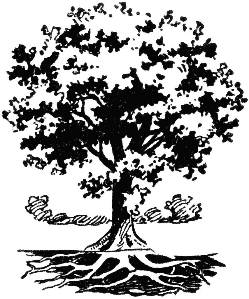 Clip Art Tree With Roots