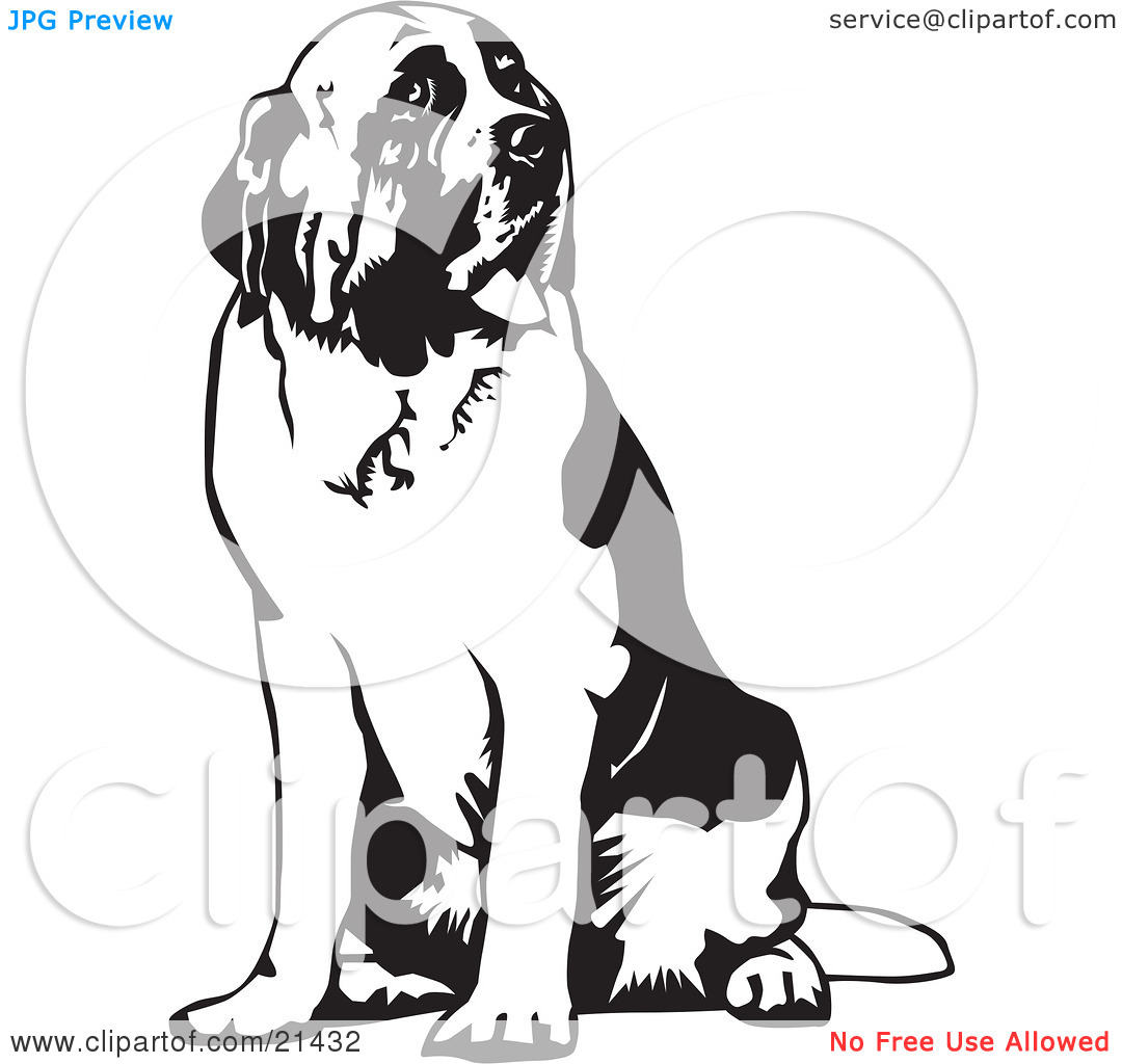 Clipart Illustration Of A Large St Bernard Dog Spanting And Sitting