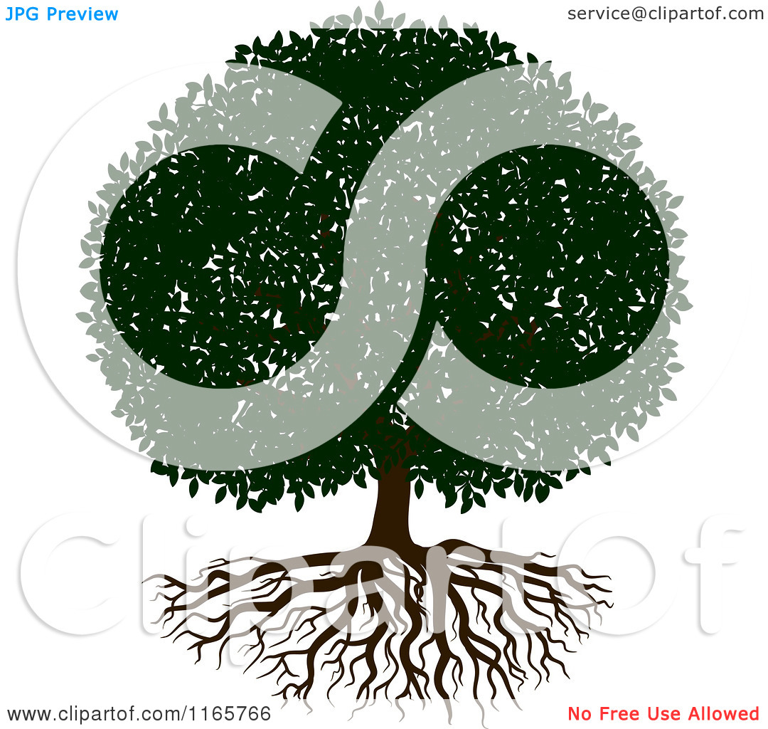Clipart Of A Lush Tree And Roots   Royalty Free Vector Illustration By