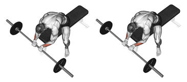 Exercising  Extension Of The Wrist With A Barbell Stock Images