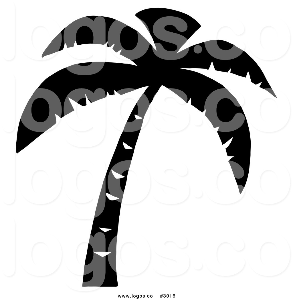 Palm Tree Black And White Logopalm Tree Black And White Logo By Hit