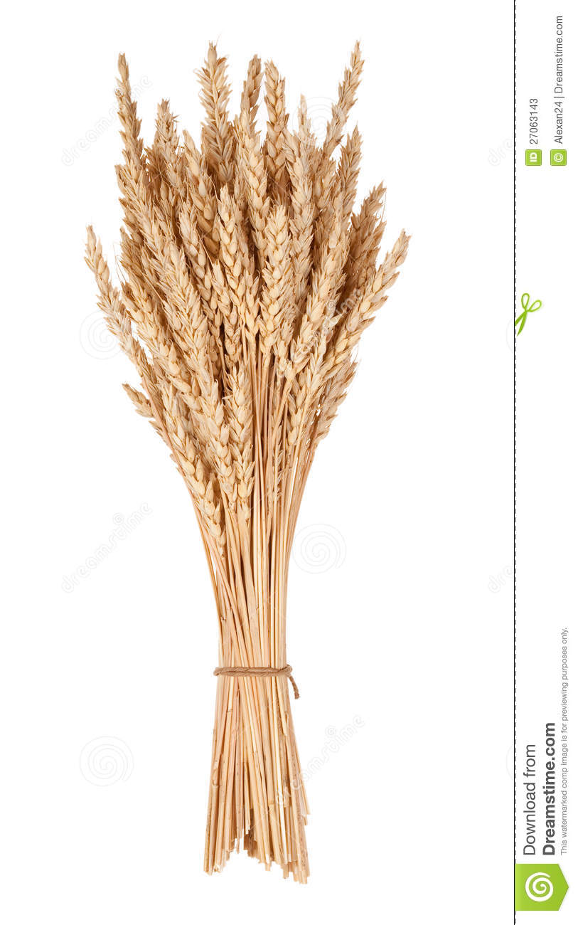 Sheaf Of Wheat Stock Photos   Image  27063143