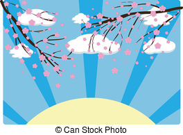 Cherry Blossom   Illustration Of A Cherry Blossom In Spring