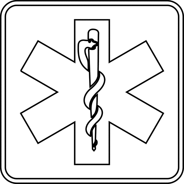 Emergency Medical Services Outline   Clipart Etc