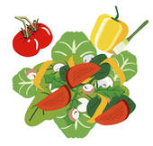 Fresh Garden Salad   Clipart Graphic