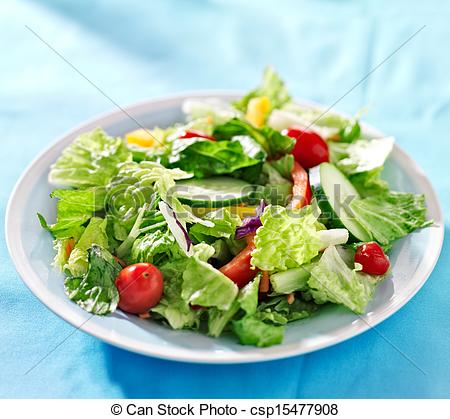 Garden Salad Clipart Stock Photo   Garden Salad