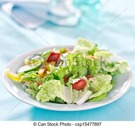 Garden Salad With Fresh Vegetables With Copy Space Composition