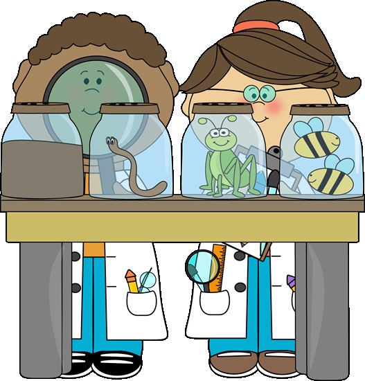 Kid Scientists Examining Bugs    Science Clip Art   Pinterest
