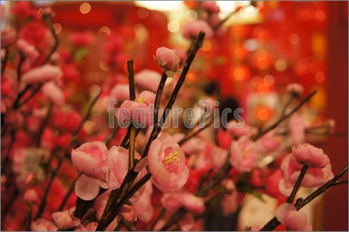 Of Peach Blossom Traditional Flower Decoration Spring Festival