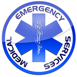Other Sizes Of Emergency Medical Services Logo Clip Art Image