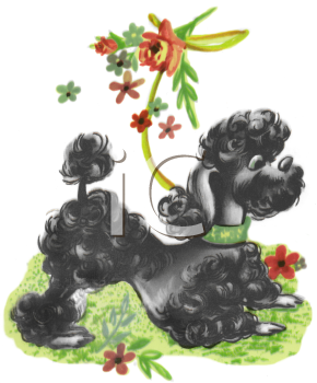 Vintage Poodle Playing In The Grass   Royalty Free Clipart Image