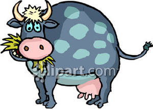 Cartoon Cow Eating Hay   Royalty Free Clipart Picture