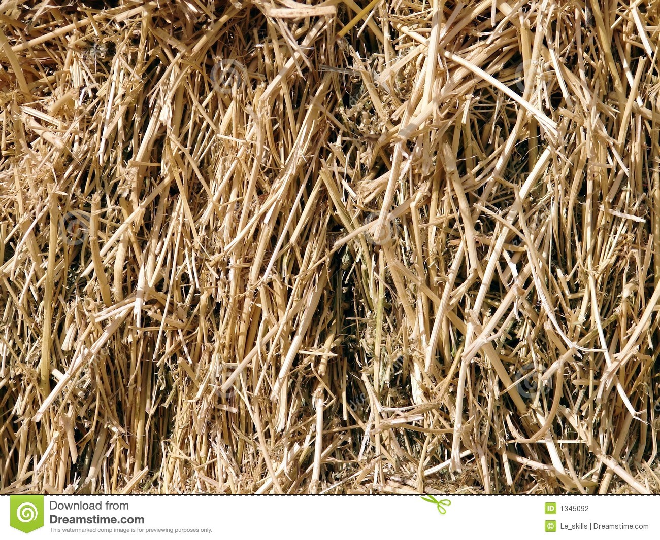 Dry Pile Of Hay