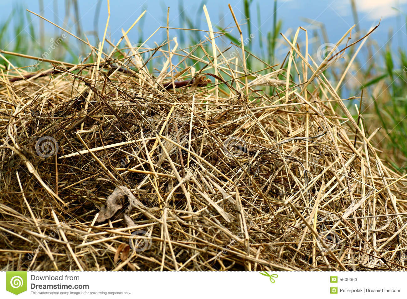 Hay Pile Clipart Pile Of Hay