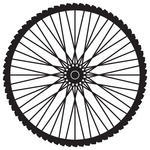 Illustration Bicycle Wheel Vector Format Bicycle Wheel Vector Format