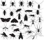     Of Household Pests Silhouette Household Pests 138441218 Jpg