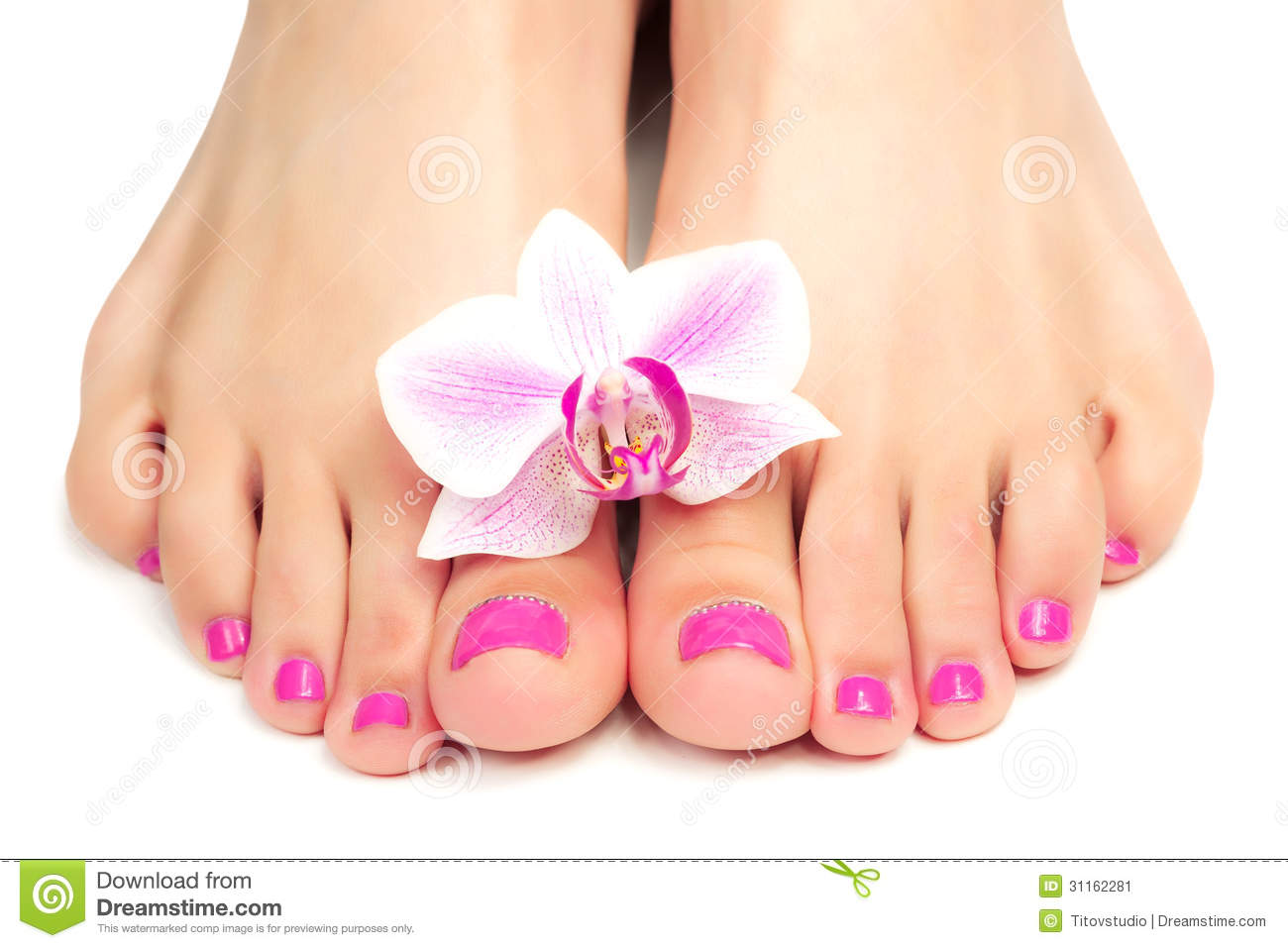 Pink Pedicure With A Orchid Flower Stock Image   Image  31162281