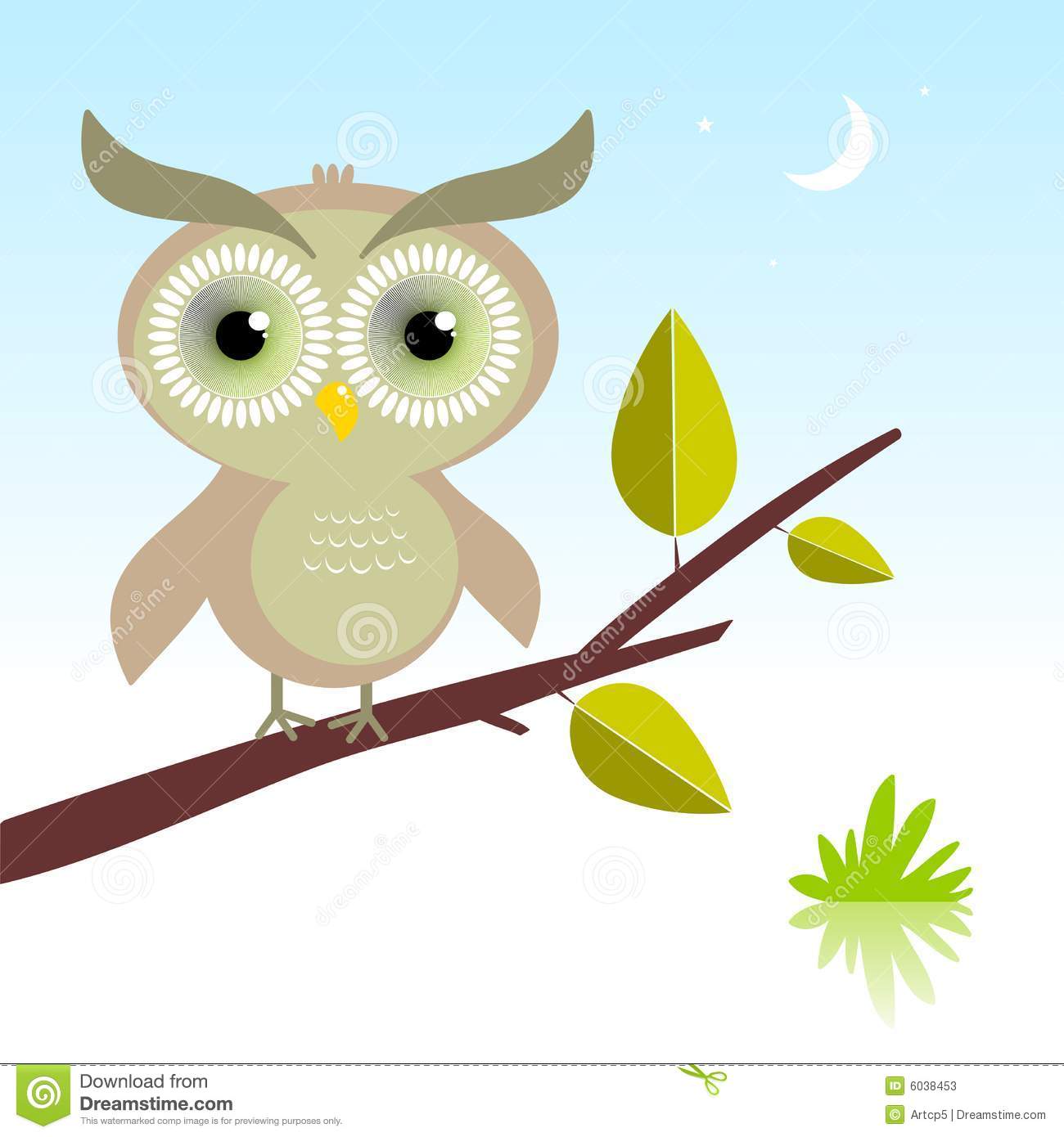 Wise Owl Bird