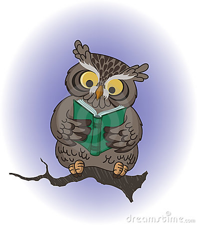Wise Owl Royalty Free Stock Photo   Image  13647345