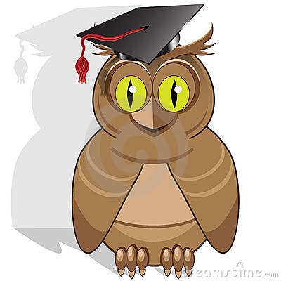 Wise Owl Royalty Free Stock Photos   Image  18917048