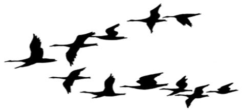 Bird Fly Png Free Cliparts That You Can Download To You Computer And