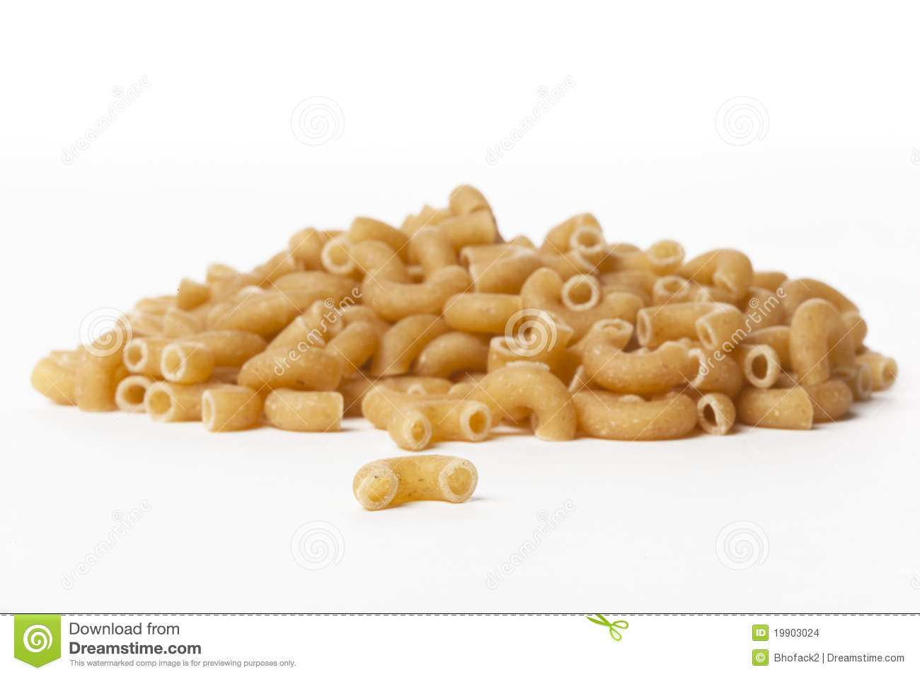 Dry Macaroni Noodles Dry Macaroni Pasta