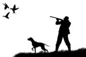 Duck Hunting Clipart Black And White   Clipart Panda   Free Clipart