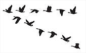 Flying Geese Clip Art Search Pictures Photos