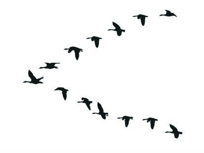 Geese Flying In V Formation Clip Art