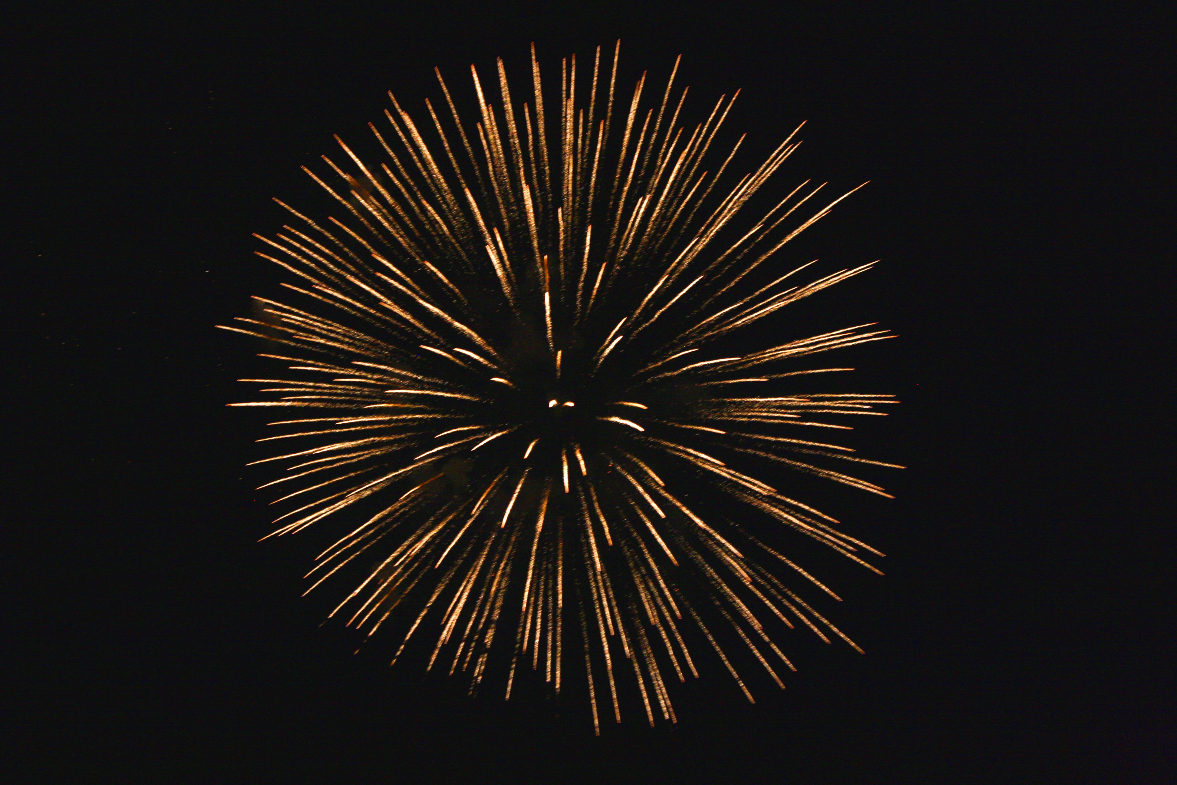Golden Starburst Fireworks   Free High Resolution Photo   Dimensions