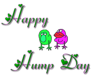 Happy Hump Day    Days   Hump Day    Myniceprofile Com