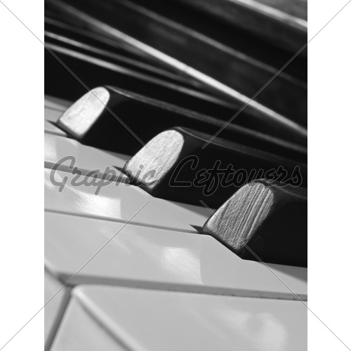 One Octave Plus A Key Of The Old Ebony And Ivory Piano Keys   Apps    
