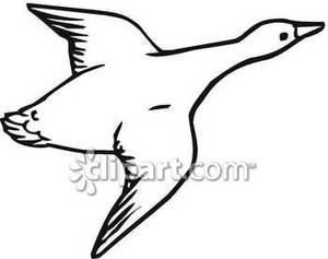 Outline Of A Flying Goose   Royalty Free Clipart Picture