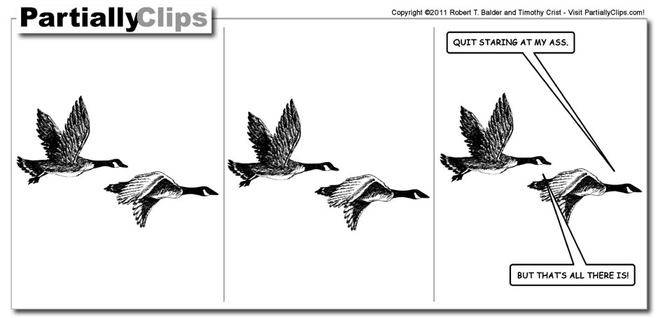 Related Image With Flying Geese Clip Art