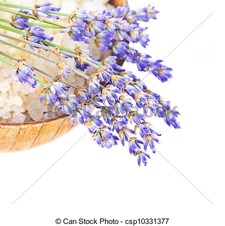 Stock Photo   Bowl With Salt And Lavender Flowers Isolated On White