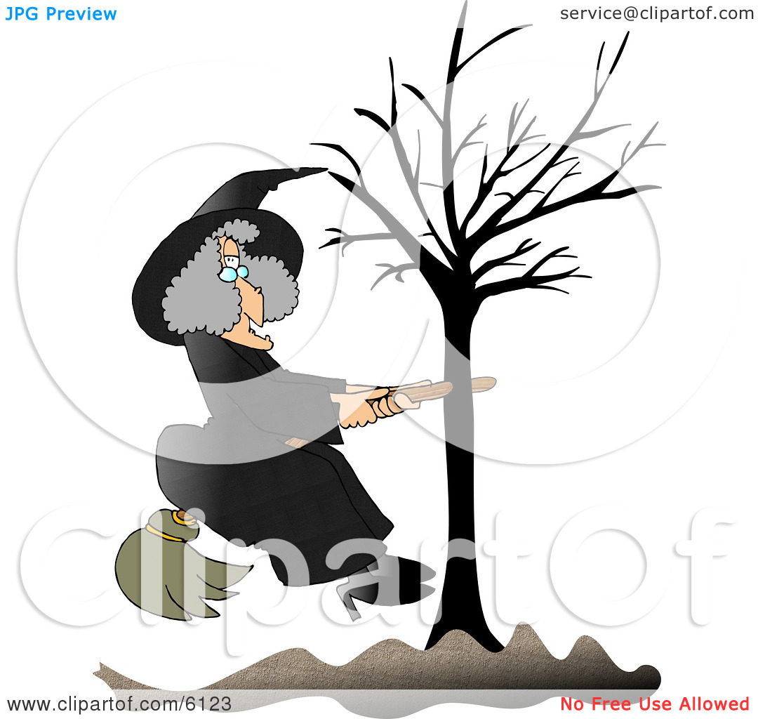 Warty Witch In Black Sitting On A Broom That Is Stuck In A Bare Tree