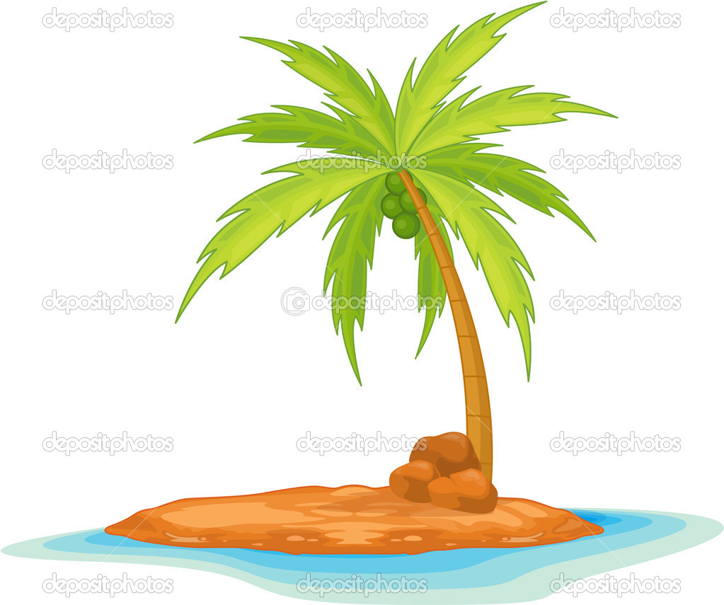 Coconut Tree   Stock Illustration