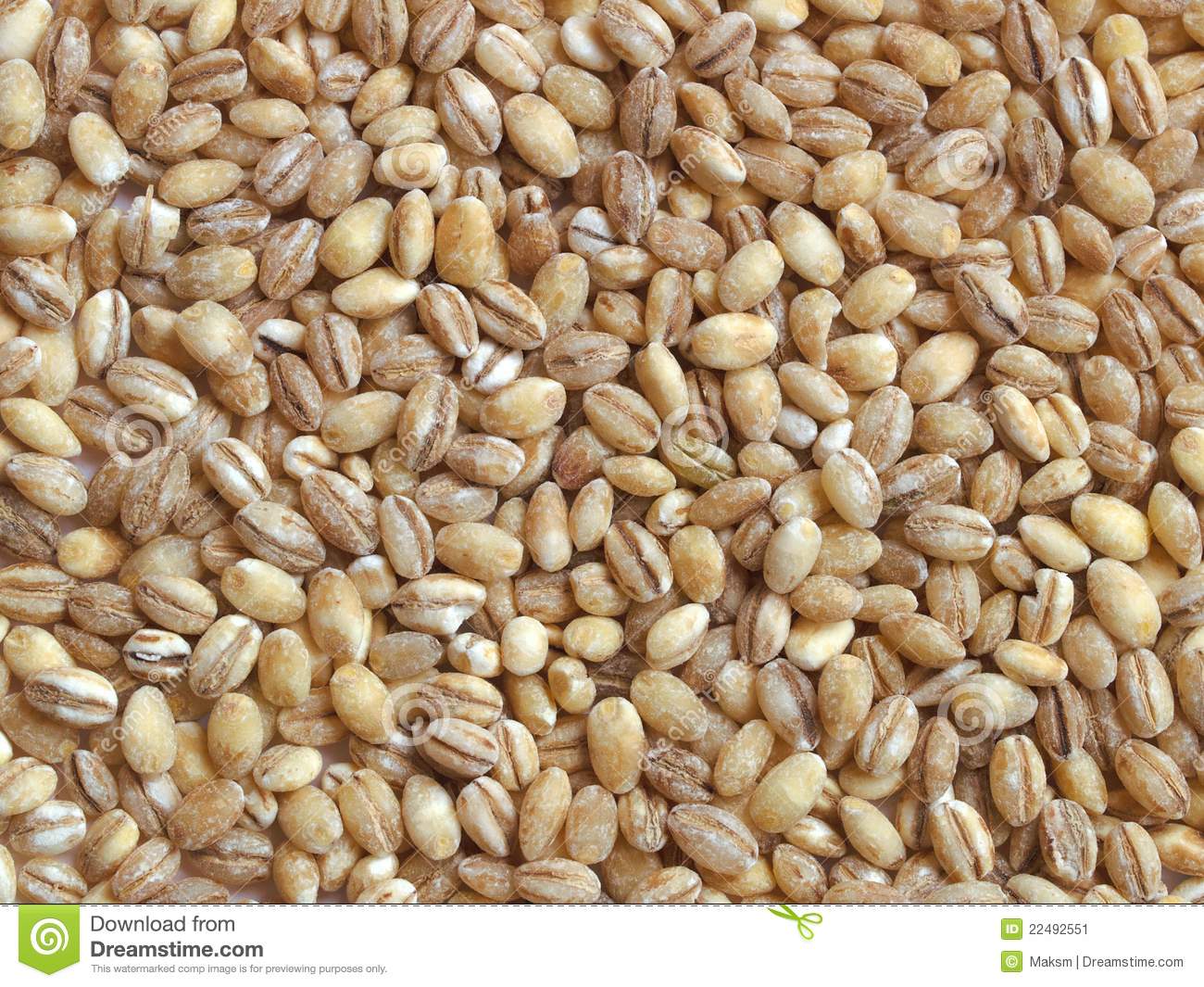 Dried Pearl Barley  Close Up Can Be Used As A Background 